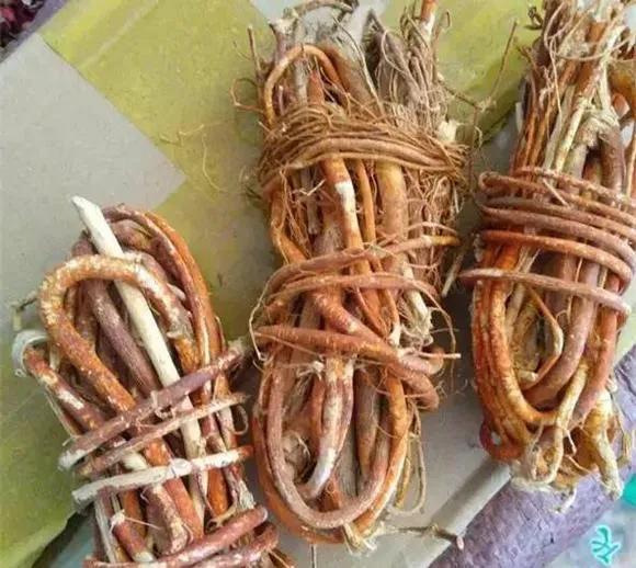 做营养汤都放什么药材,各种营养汤的做法及功效大全