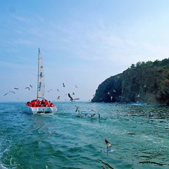 去大连只看海的旅游攻略,大连玩海全攻略