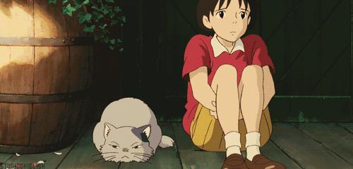 描写小动物的好词好句抄写,描写动物的好词简短一点