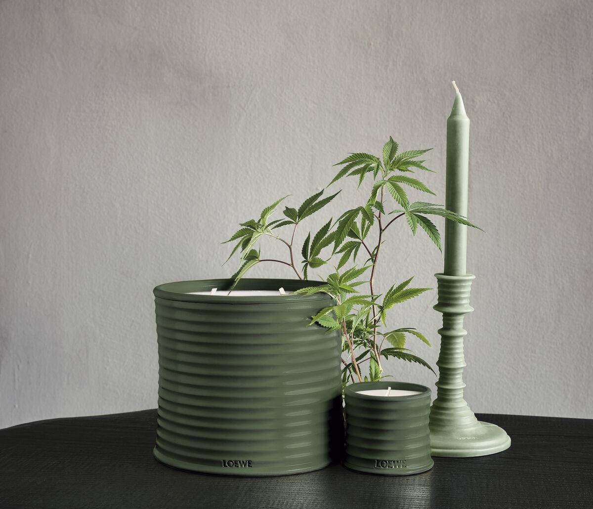 罗意威闻着像飘柔的香水,罗意威是沙龙香吗