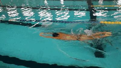 游泳练习蛙泳腿疼,蛙泳膝盖疼学其他泳姿