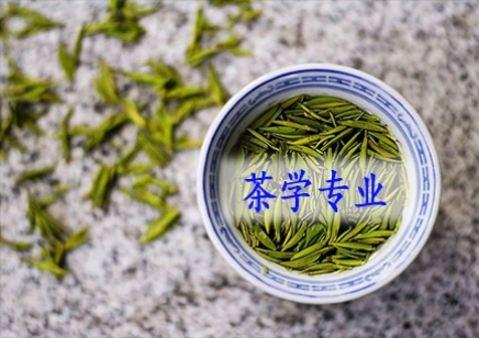 农学专业将来的就业方向,农学类就业很差么