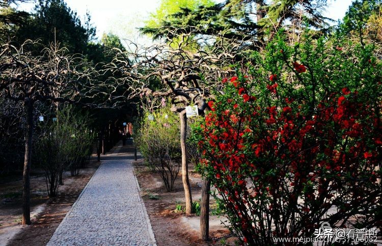 山西农大美丽的校园,山西农大校园风光