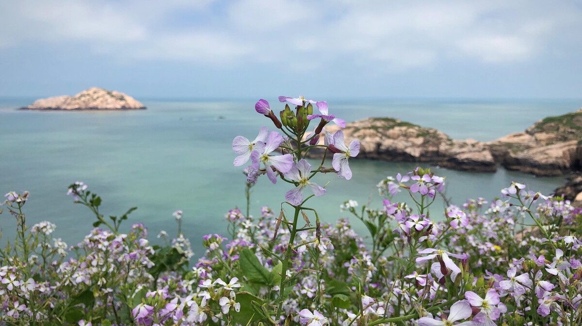 五一适合去的浙江省内小众海岛,旅行推荐广州周边小众好玩的海岛