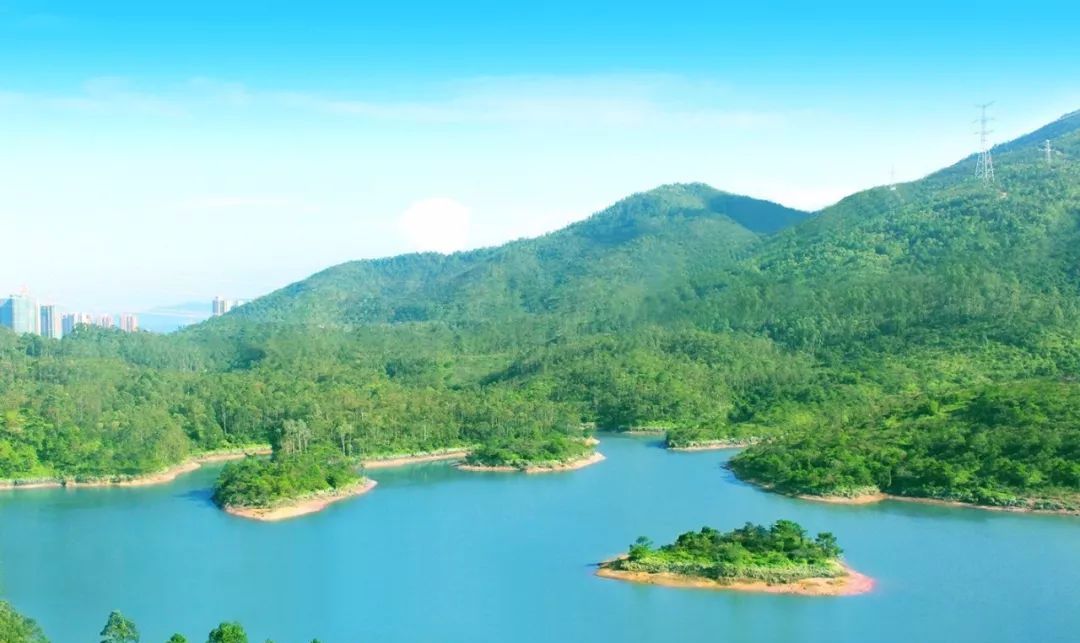 荣盛高端楼盘,荣盛御湖观邸现在开几号楼