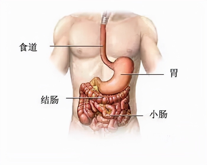 做普通胃镜肠镜的真实感受,做了胃肠镜还有必要做胃镜吗