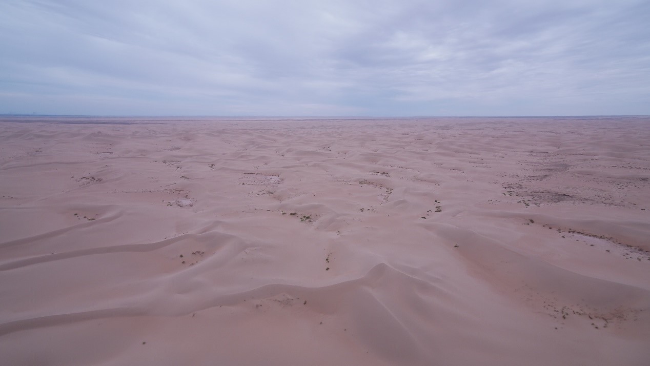 圣牧儿童有机奶质量怎么样,圣牧有机奶有真假么