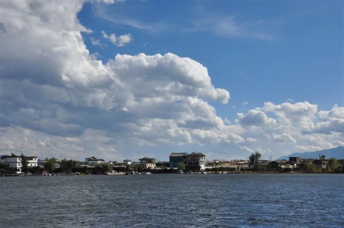 喝点茶就腰痛,喝生茶腰痛