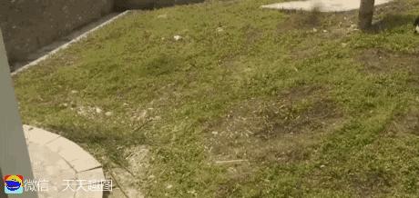 搞笑动图gif高清,搞笑动图gif微信表情包