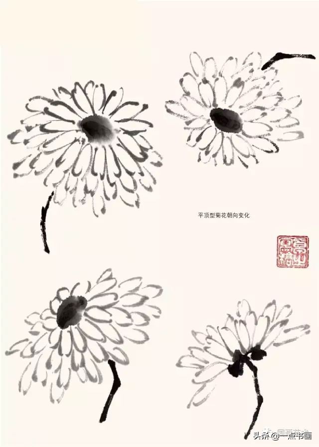 怎样画菊花国画,徐湛画菊花国画入门教程