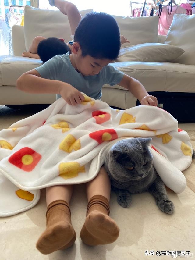 胡可晒小鱼儿垂涎猫粮,趴地上围观猫咪进食,网友提醒小心他偷吃