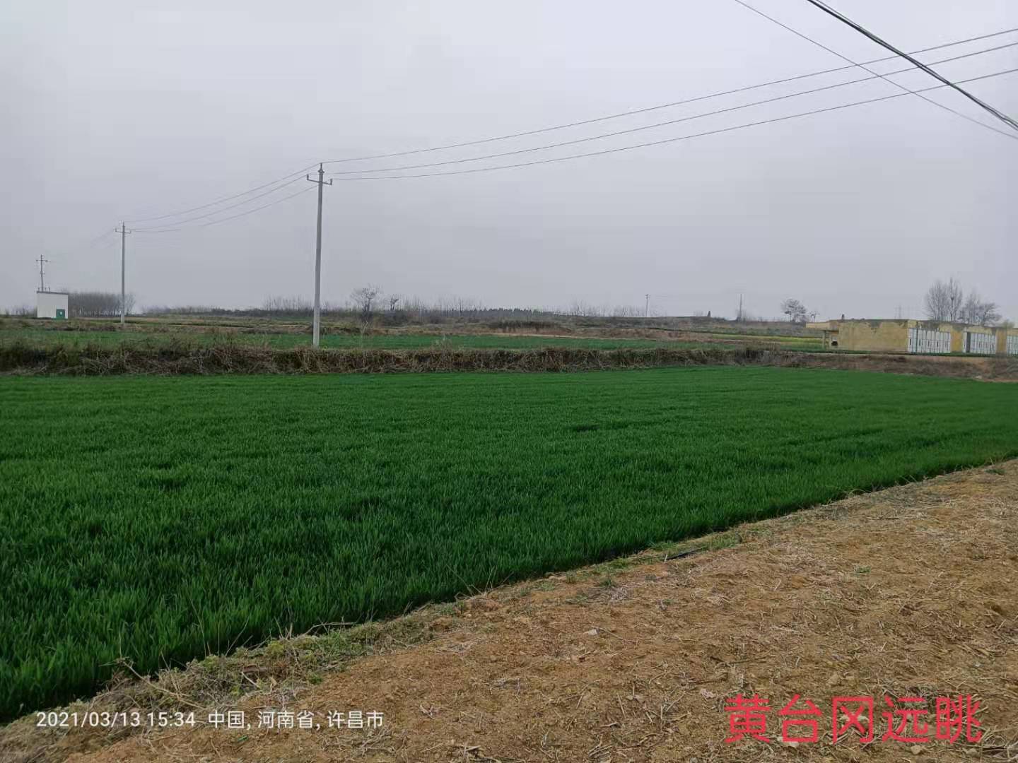 黄台遗址,千年古县寻古探幽全面展示