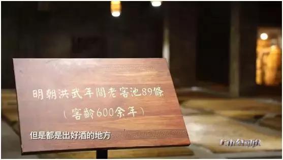 洋河股份发展过程,洋河股份三年五百亿
