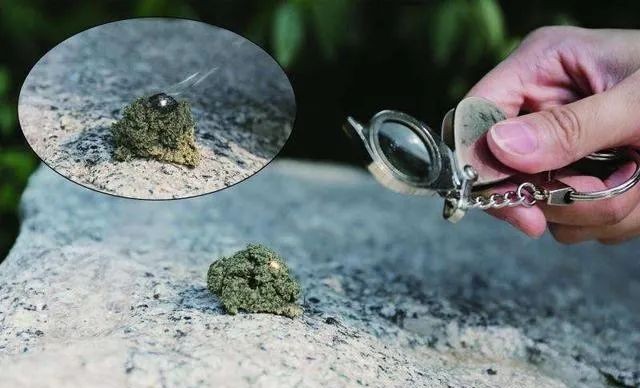 生存小技巧钻木取火,荒野生存取水技巧