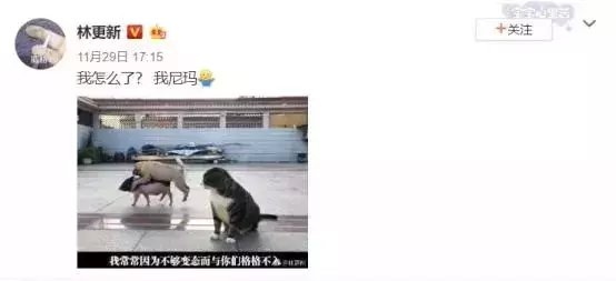 林更新能有多接地气,林更新有那么好笑吗