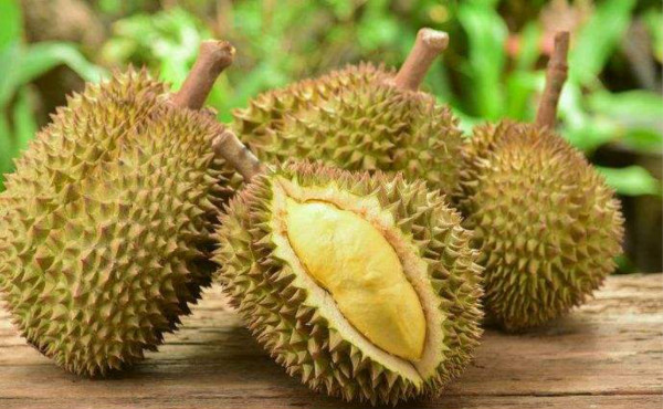 假性儿童早熟什么意思,儿童假性早发育饮食