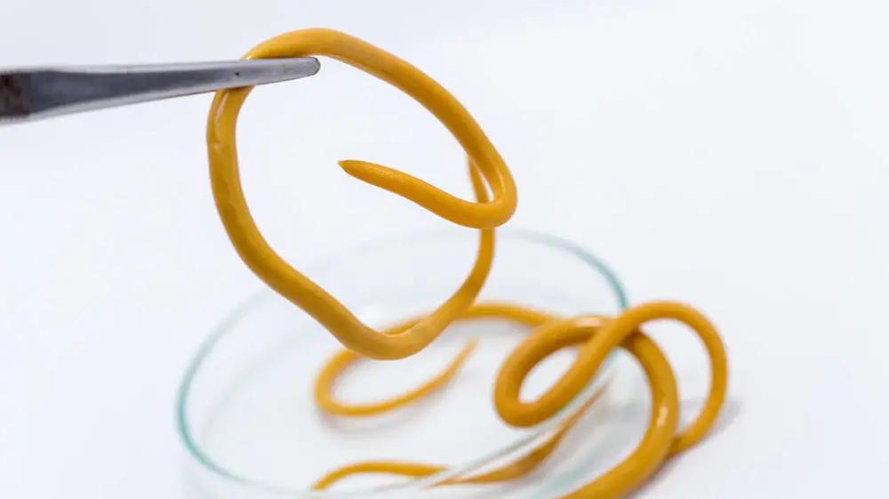 现在还存在蛔虫病吗,为何现在没人感染蛔虫了