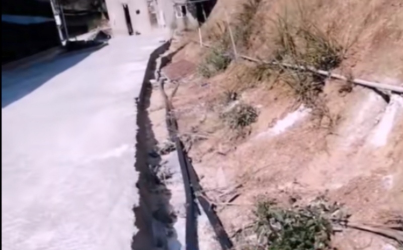 老鼠“糟蹋”饲料袋:防不胜防?哪种灭鼠防治方法更有效、科学?