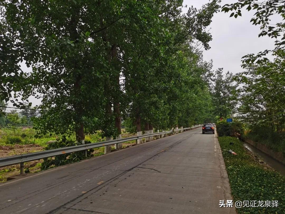 龙泉驿区最新交通消息,龙泉驿交通最新规划