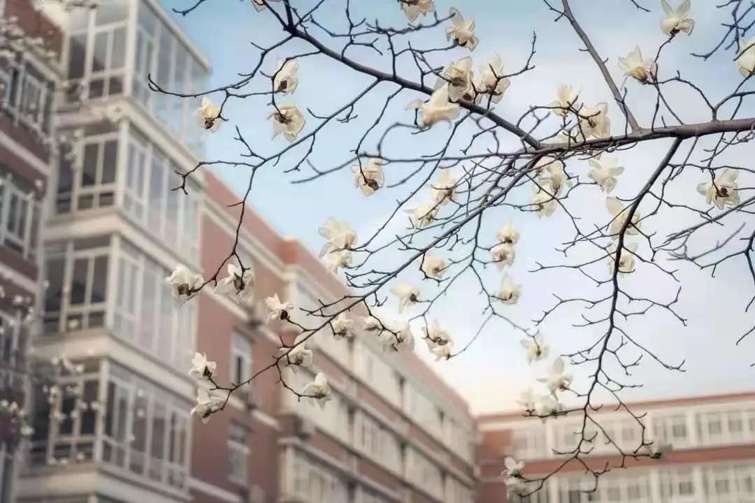 杭州美职学校风景,杭州美丽学校评选