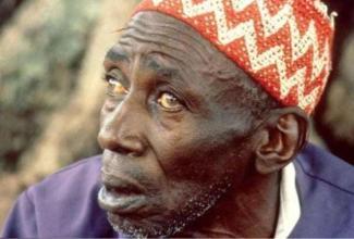 曾经肆虐非洲的盘尾丝虫，号称眼球杀手，已被预测于2020年消失