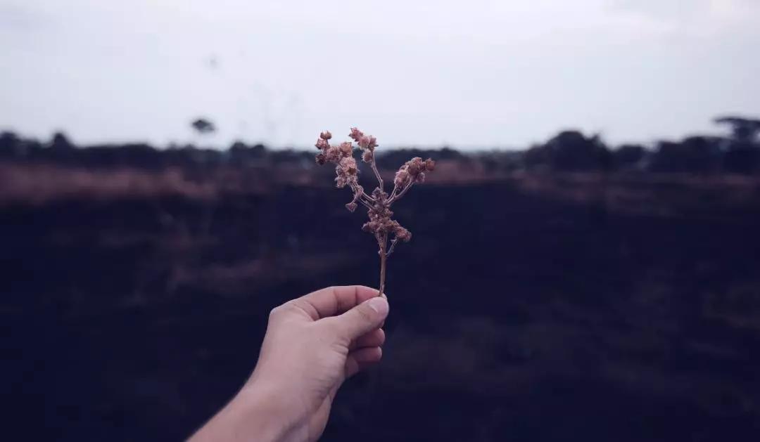 火车的硬座到底有多难坐,火车卧铺和硬座感受