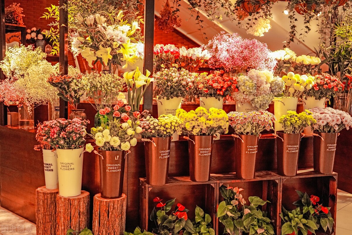 0成本线上创业项目推荐2021,创业项目推荐2021投资