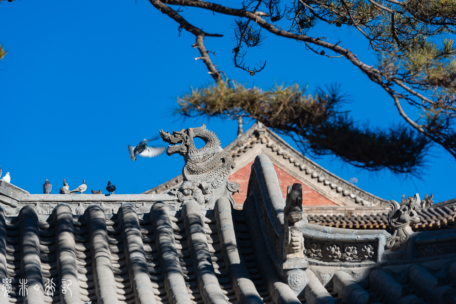 文殊菩萨的道场是哪个佛教名山,文殊菩萨最大的寺院在哪里
