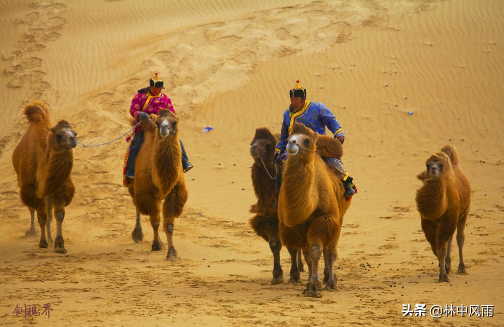 通辽奈曼沙漠,奈曼旗沙漠风景视频