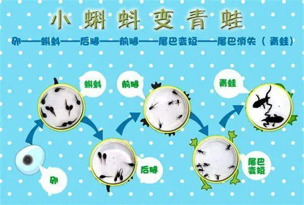 三种方法助你写好观察日记