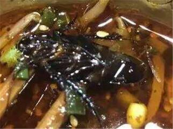 灭蟑螂小窍门最有效,灭蟑螂小窍门简单易学