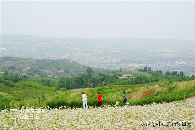 藏在秦岭深处的世外秘境,藏在西安秦岭里的桃源秘境