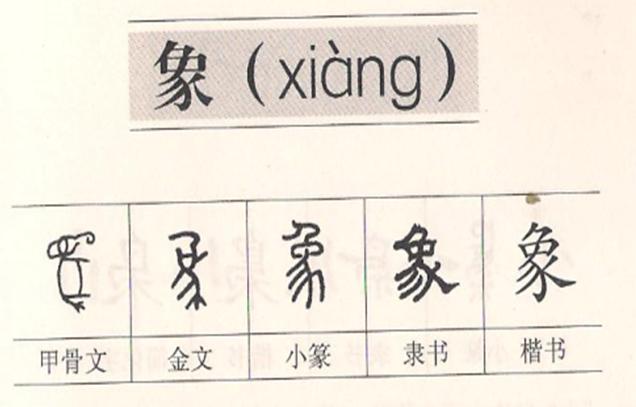 咕咚一年级下册语文必考知识点,小学语文咕咚阅读理解
