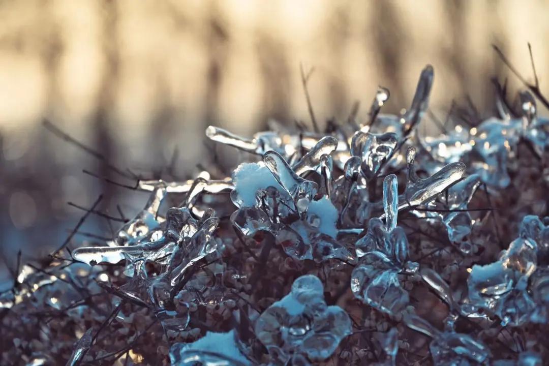 初见长春,第一次雾凇之旅不虚此行