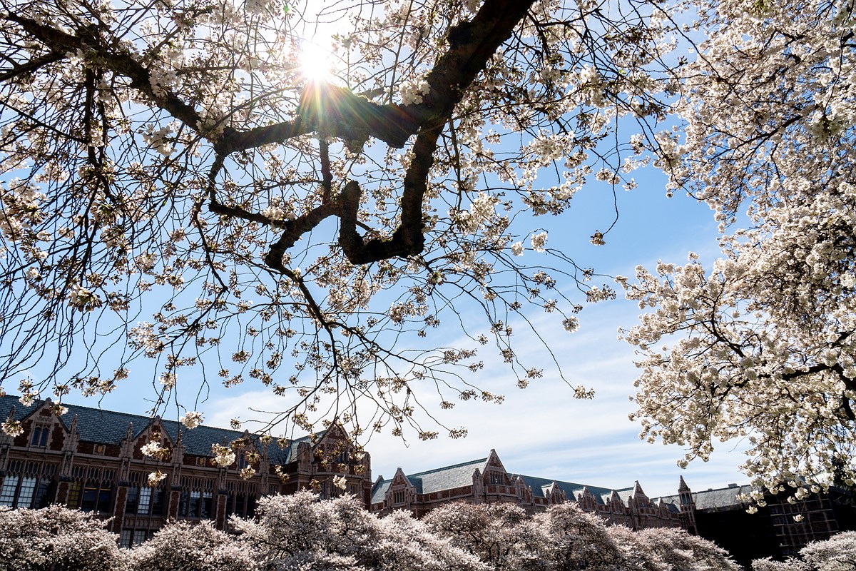 索尼A6400评测体验：自动对焦表现惊人，但也有不少缺点！