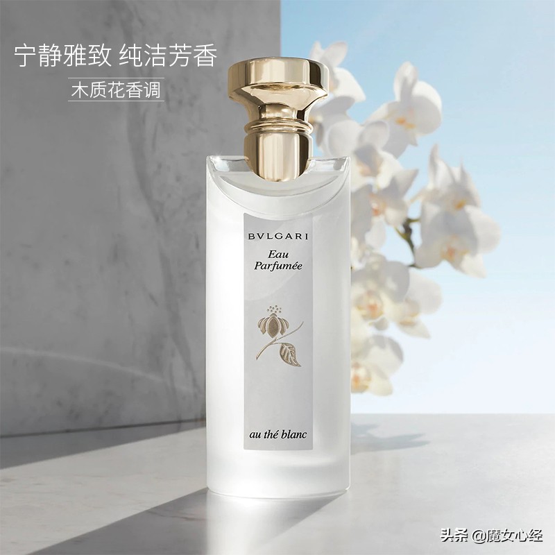 最适合夏天用的10款大牌香水,介绍推荐几款经典的绿茶香水