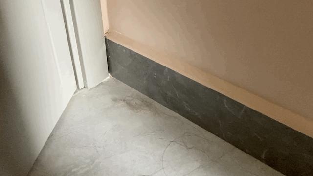 撸猫工具电动,戴森dyson吸尘器推荐