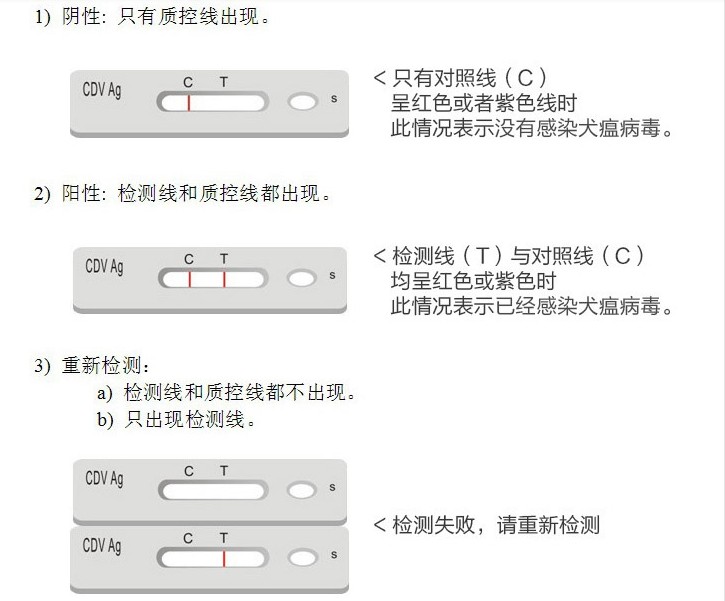 狗狗犬瘟热和感冒,犬瘟热和犬瘟有区别吗