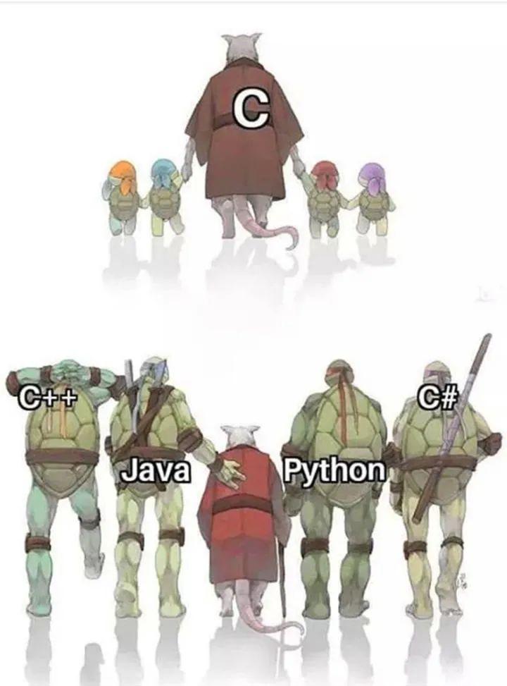 用了30年的c语言,史上最全面c语言