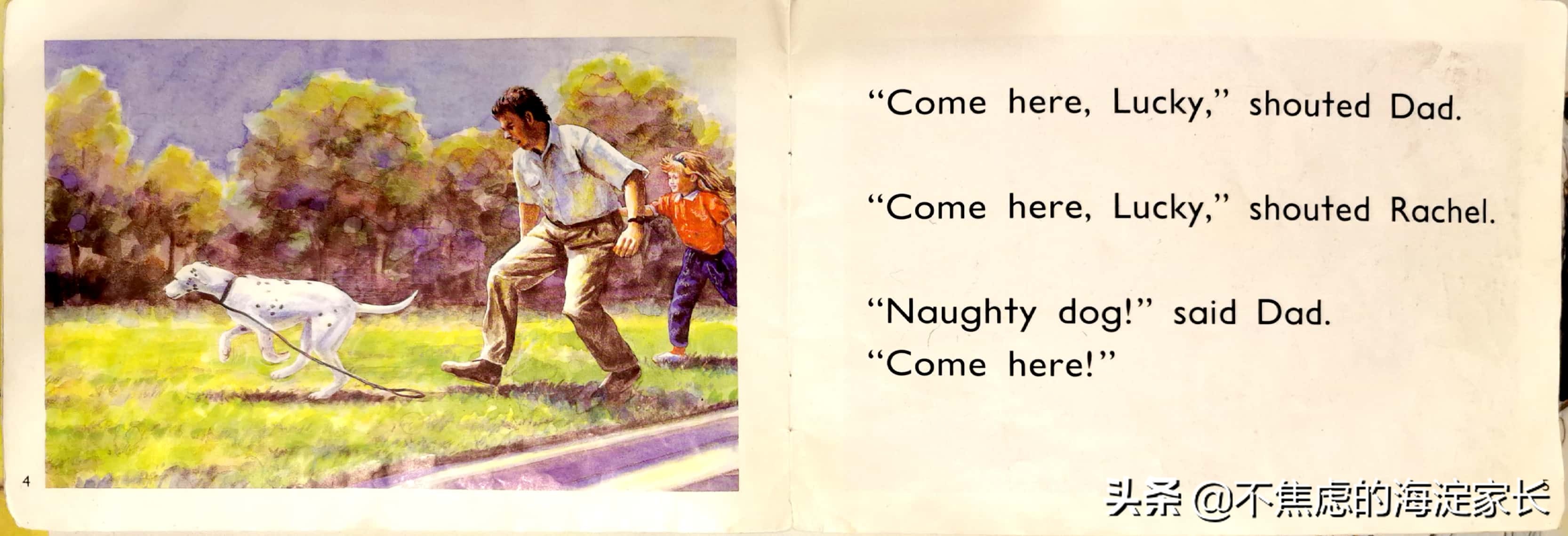 新西兰小学生阅读书单排名,新西兰小学阅读教材每日一本