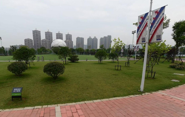 洪山区武汉足球主题公园,武汉有什么专业足球球场