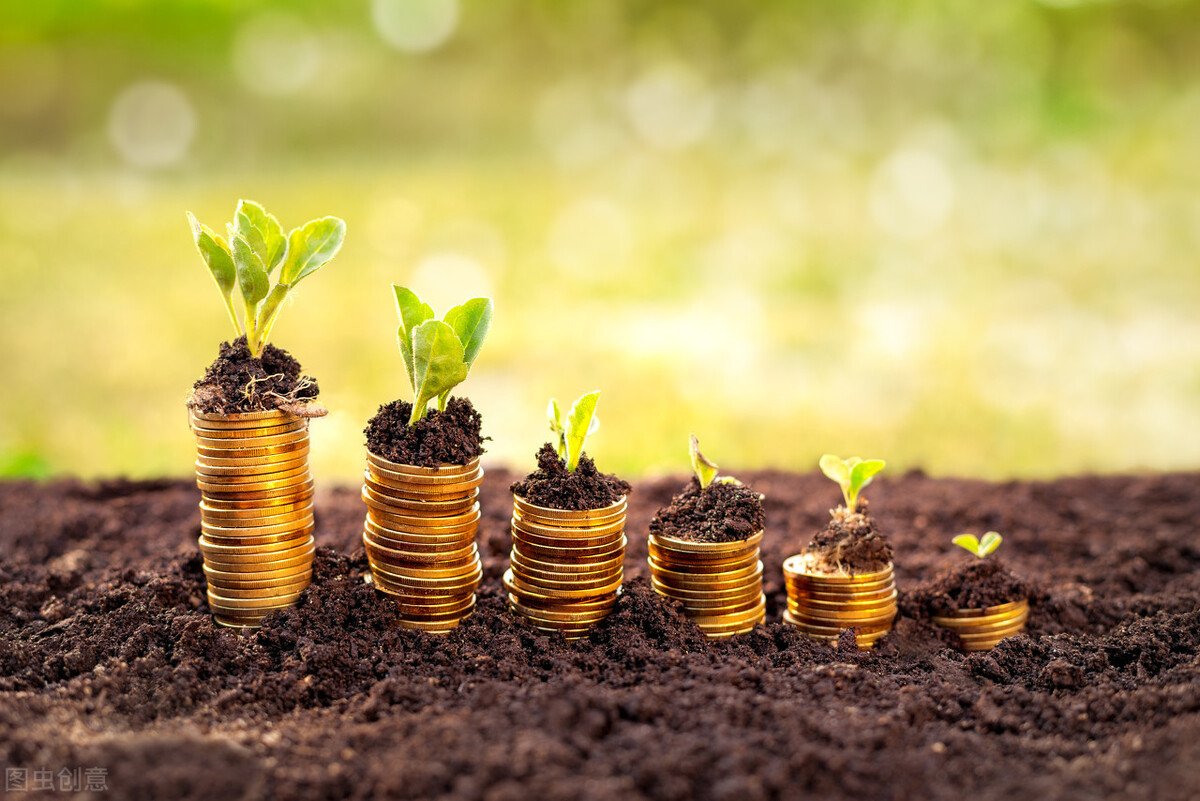 小白理财应该如何学习理财,适合理财小白理财方法