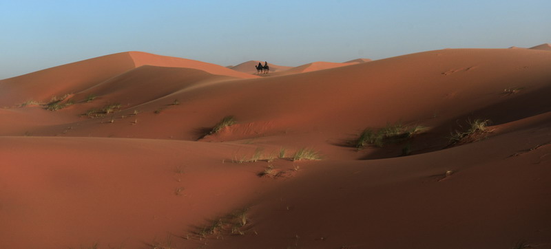 撒哈拉沙尘暴照片,撒哈拉沙漠沙尘暴实拍