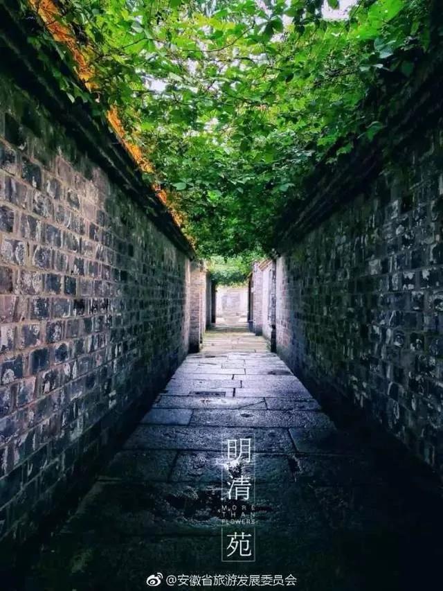 安徽颍上县发展定位,颍上县发展经济的重大举措