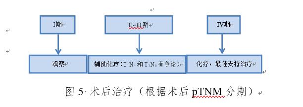 我国胃癌新发人数,2020年我国胃癌新发病例数达多少