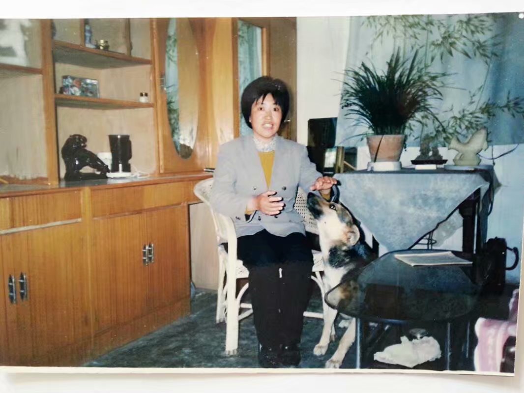 哈利贝贝是什么,美国哈利贝贝怎么样