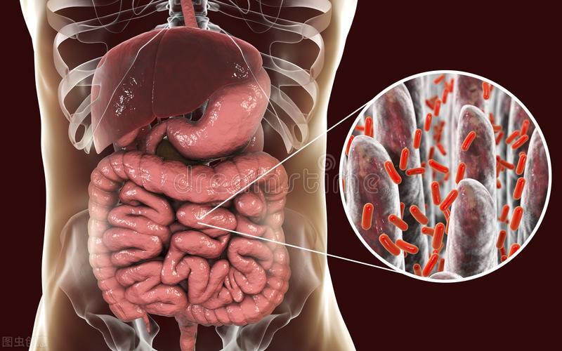 维生素k补多了有什么害处,维生素k有哪几种它有什么作用