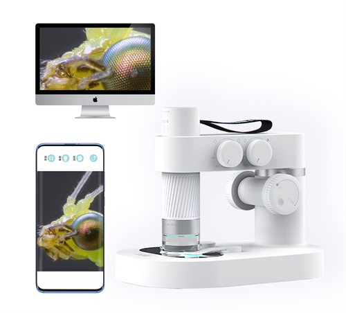 儿童积木玩具品牌质量排行榜,益智玩具加盟品牌