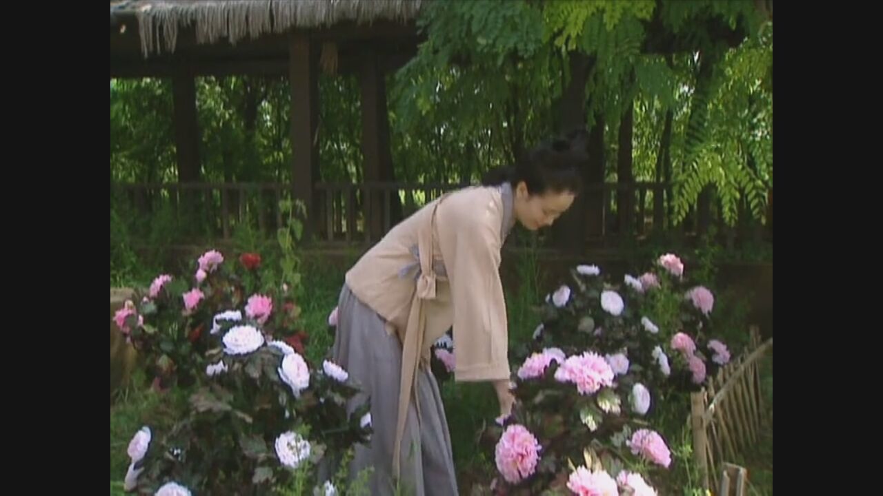 大明宫词郭冬临演的李显与韦氏,大明宫词韦氏是什么人