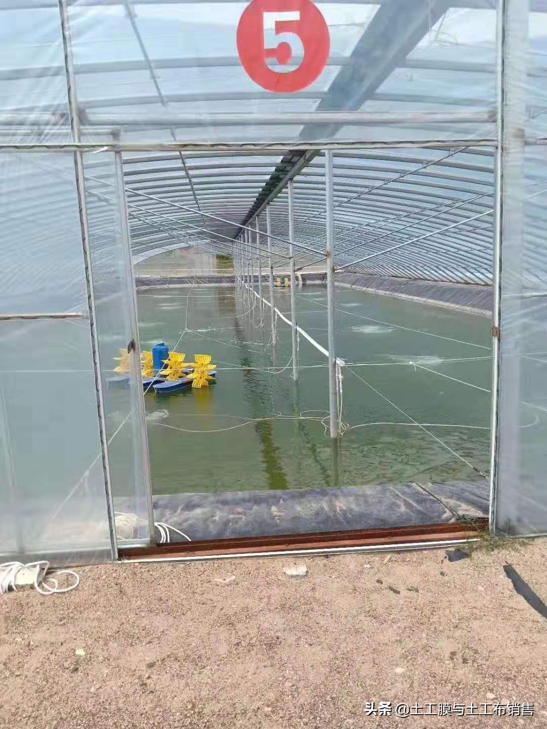 生态农业养殖价格表最新,绿色渔业养殖费用